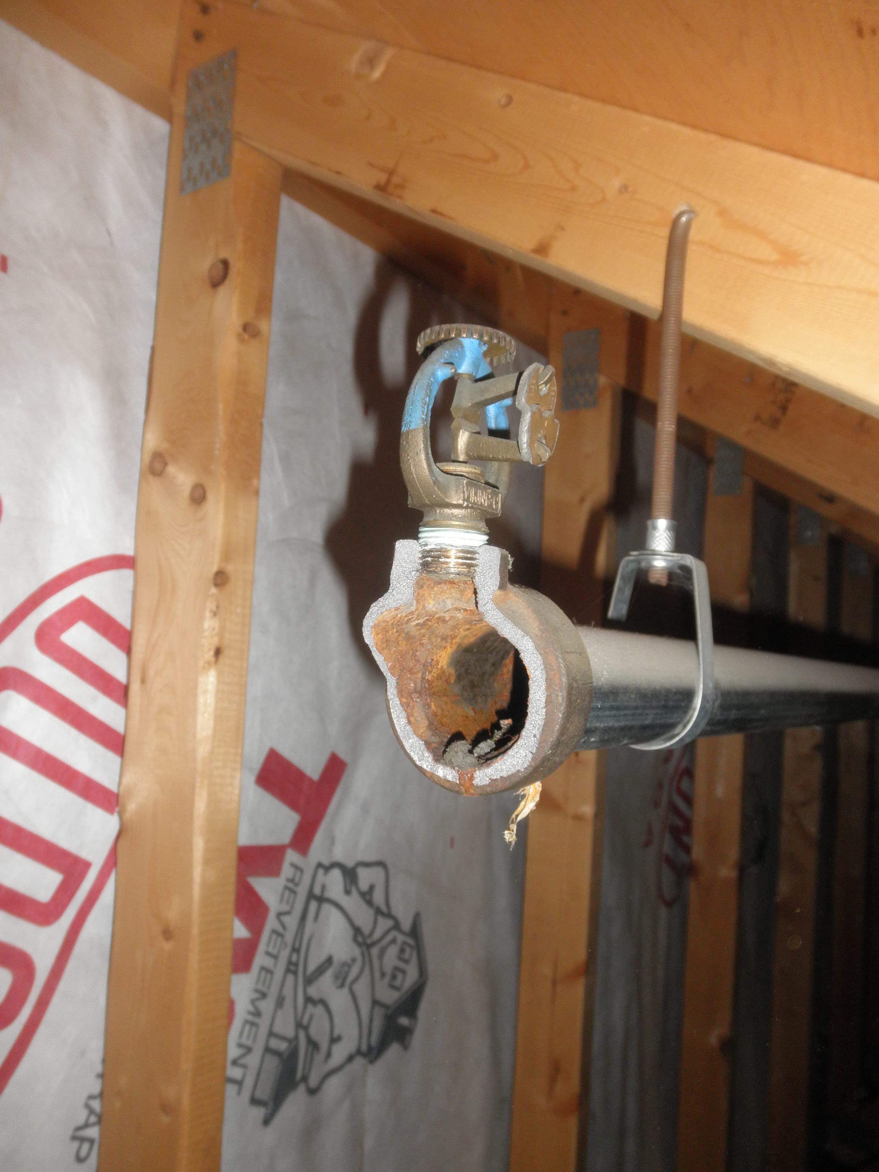Freeze-damaged sprinkler